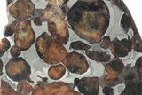 Sericho Pallasite Meteorite ( g) Slice - Kenya #382945-1
